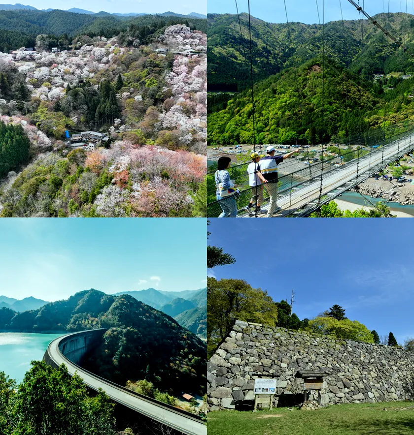 奥大和市町村 画像