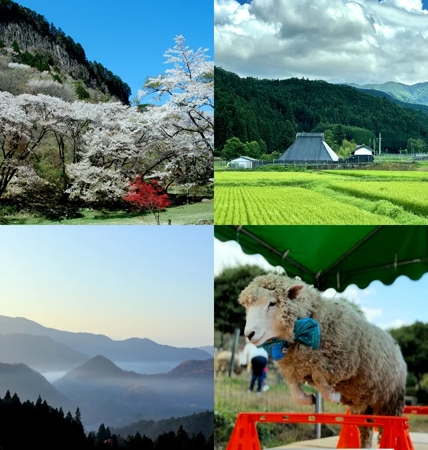 奥大和市町村 画像